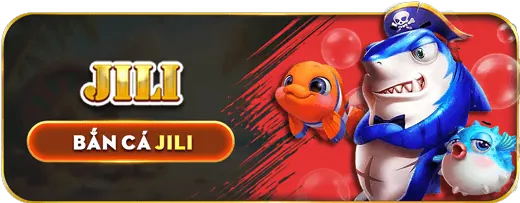Các câu hỏi thường gặp