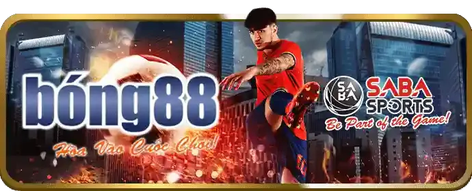 Trận đấu đá gà sôi nổi